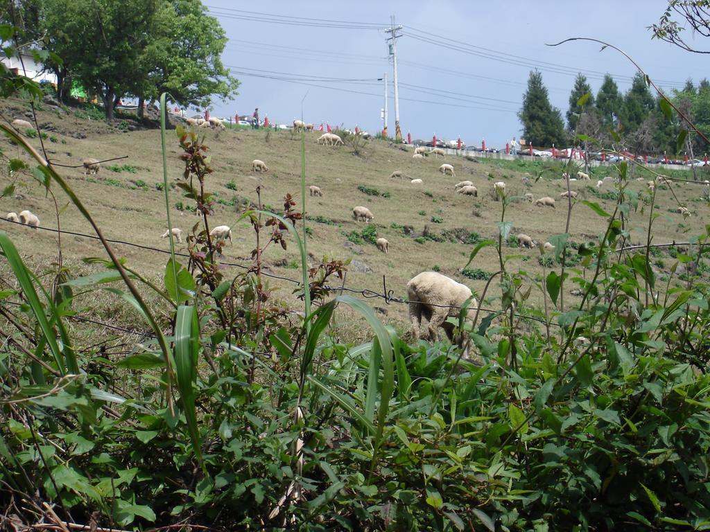 Villa Winlu Vacation Farm Renai Exterior foto